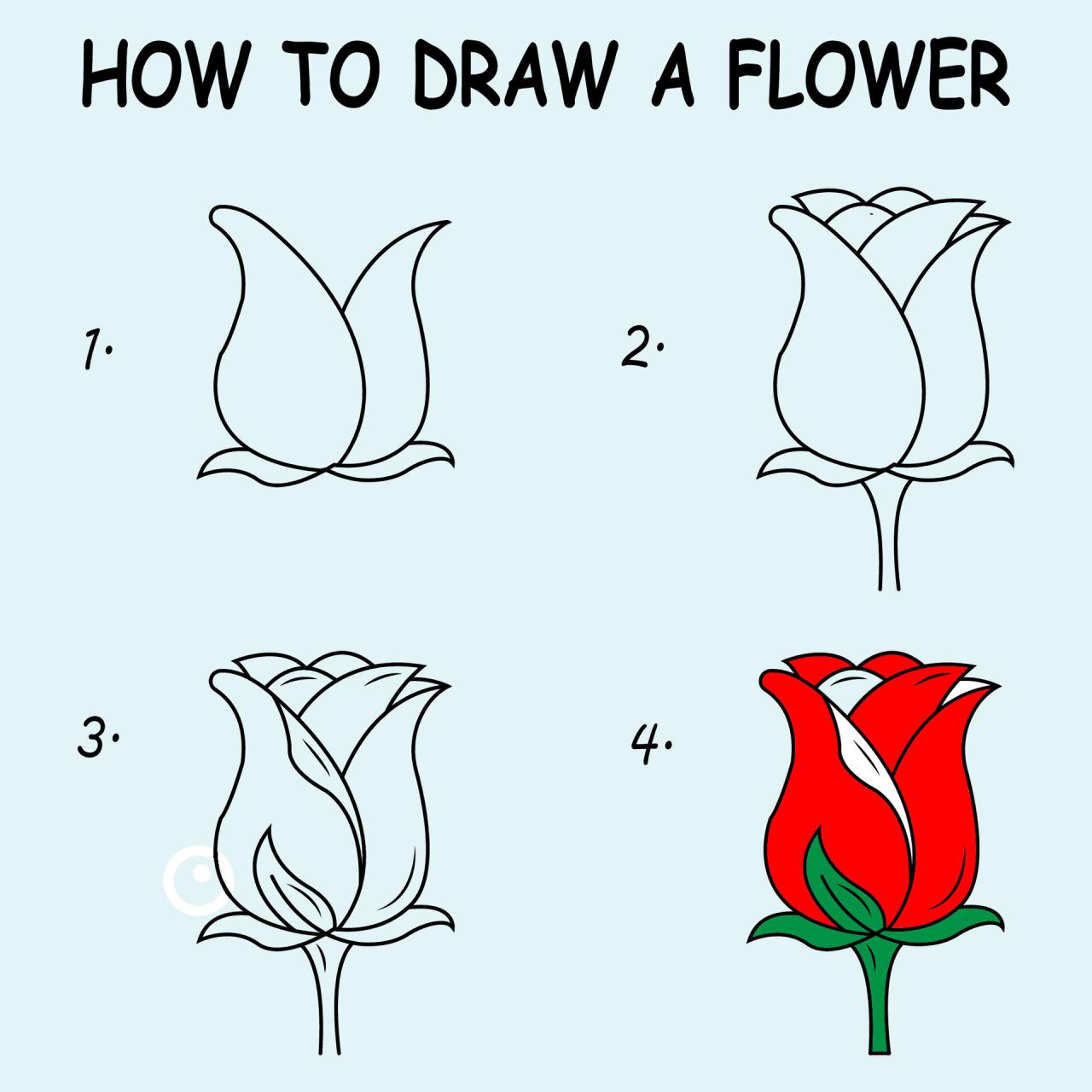 Draw Easy Flowers How Does Bankruptcy Affect My Credit Score And Future
